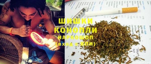 прущие крисы Арсеньев