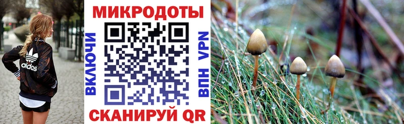 Галлюциногенные грибы MAGIC MUSHROOMS как найти закладки Талица